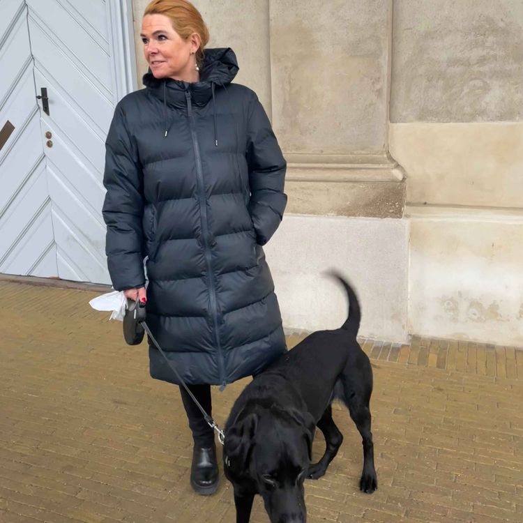 cover art for Inger Støjberg: Ludvig og ransagningerne