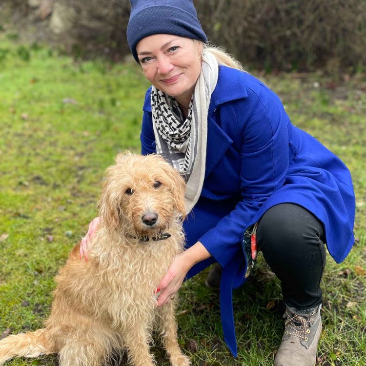 cover art for Stine Bolther: Molly på krimiresearch