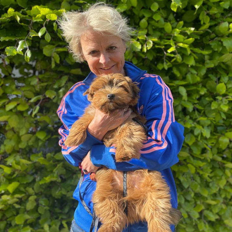 cover art for Lykke Friis: Dobbelt op på hunde-lykke