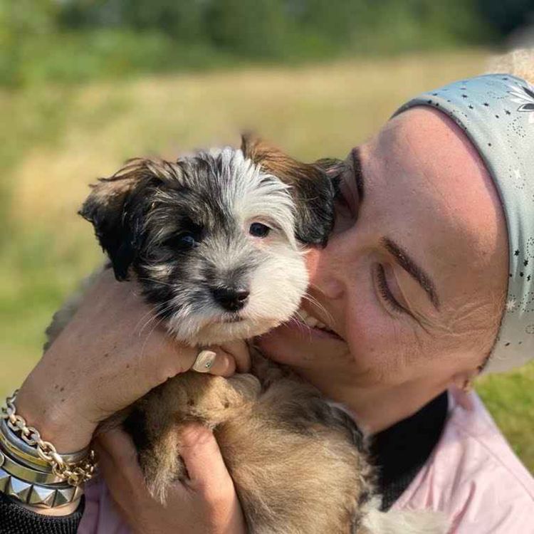 cover art for Julie Ølgaard: Dolly den kærlige selskabspapegøje