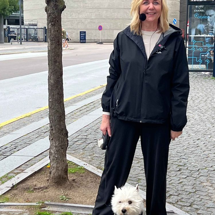 cover art for Mona Juul: Ludvig på land og i by