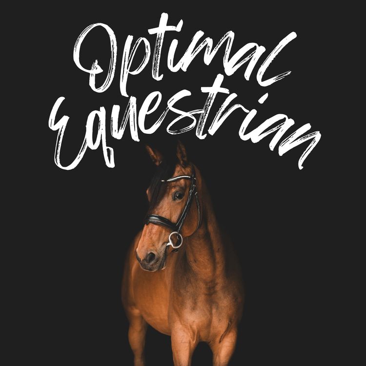 cover art for Intro