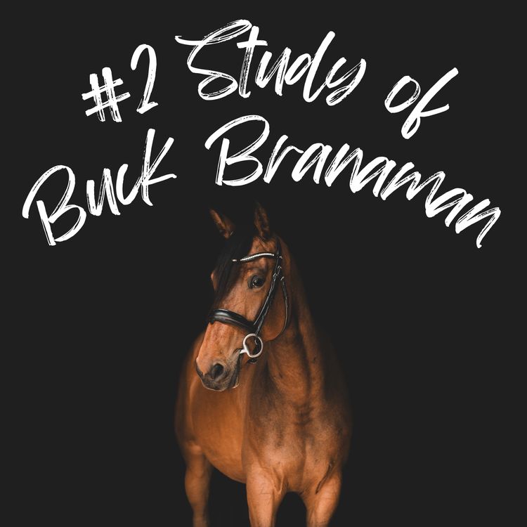 cover art for Buck Brannaman