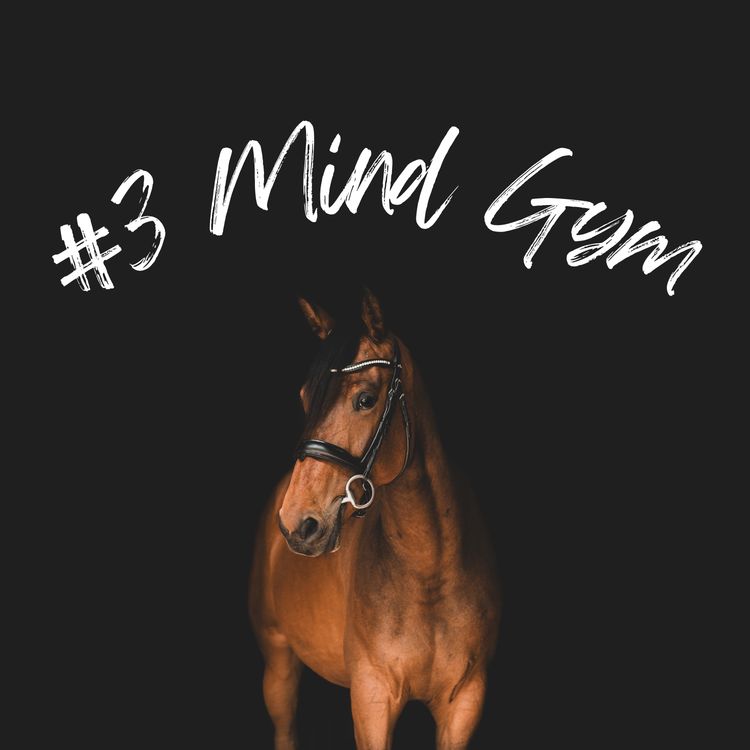 cover art for Mind Gym