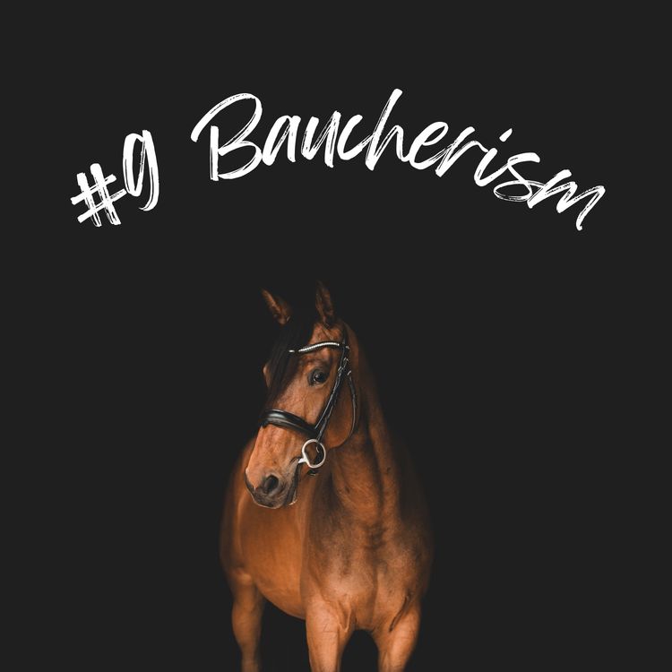 cover art for Baucherism