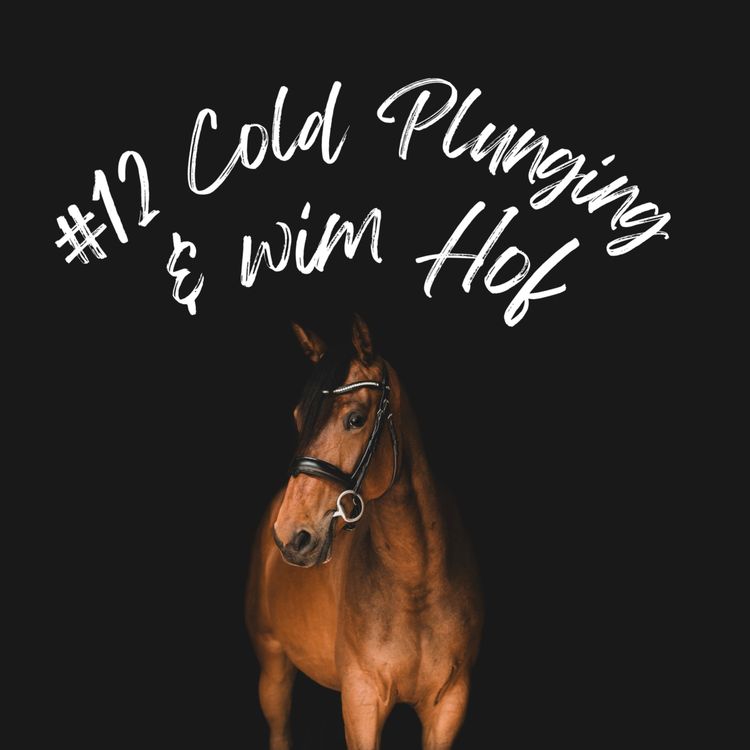 cover art for Cold Plunging & Wim Hof