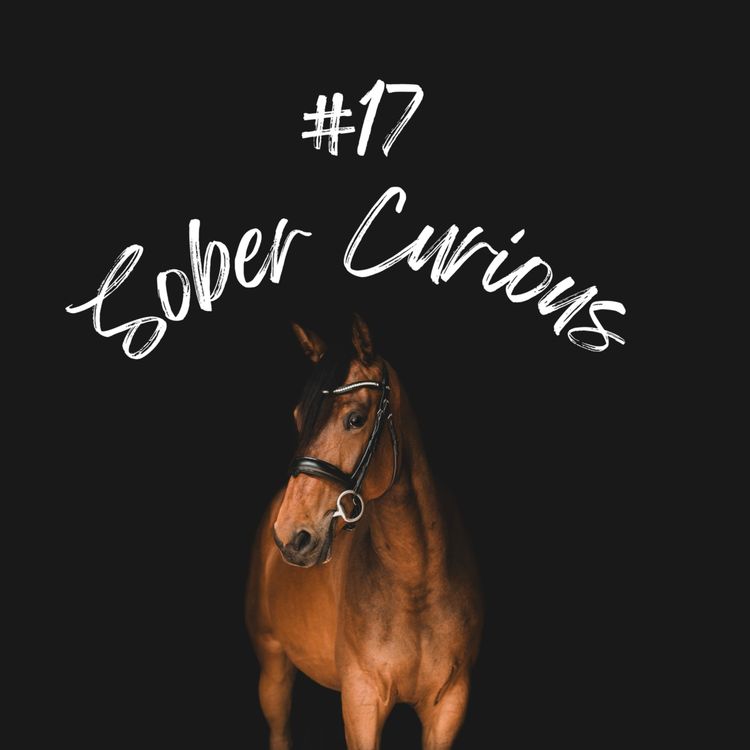 cover art for Sober Curious