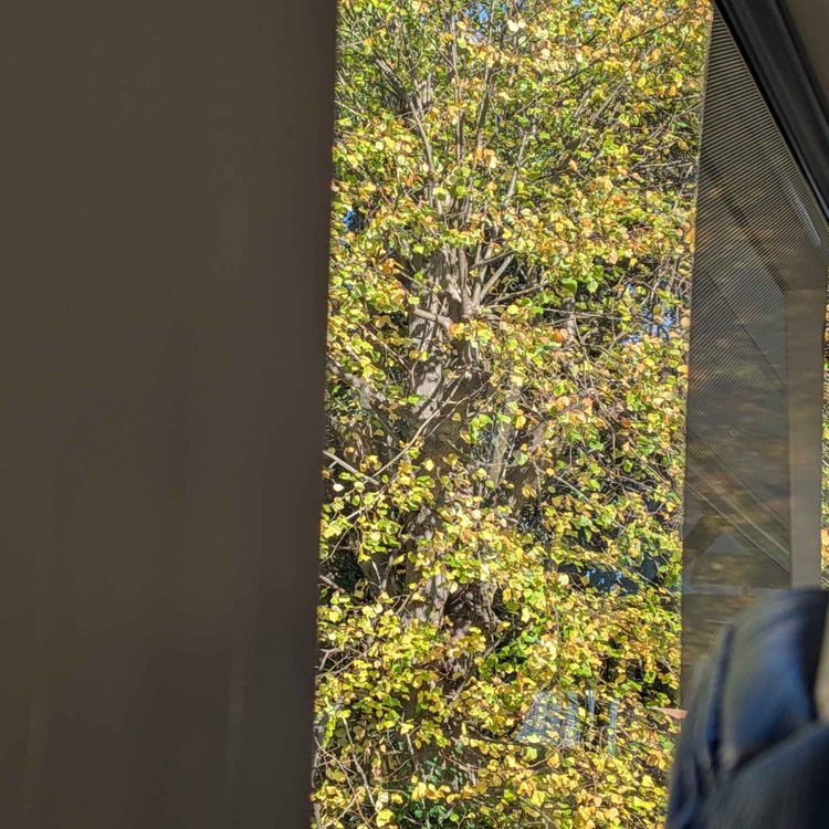 cover art for Audio Postcards - Noticing