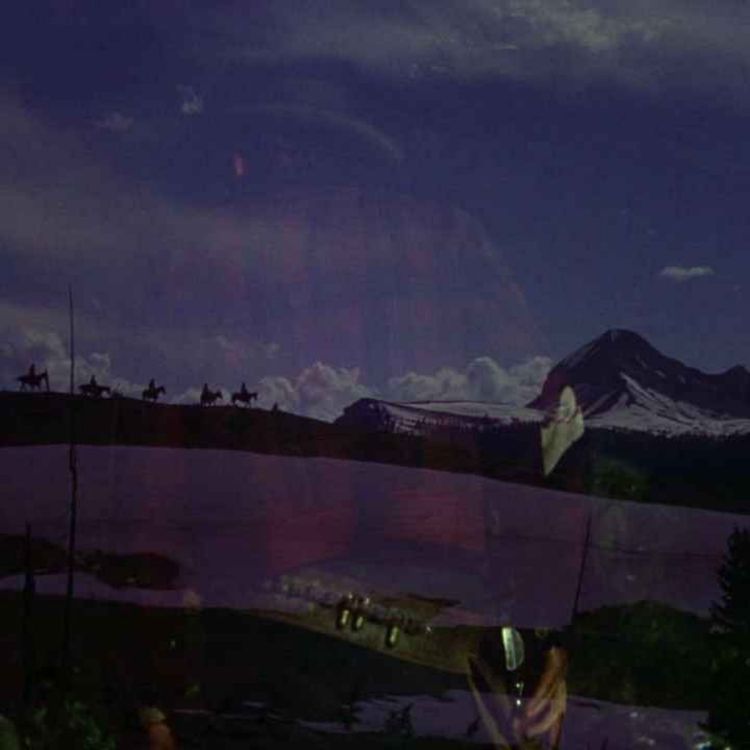 cover art for L'Appât (1953) de Anthony Mann 