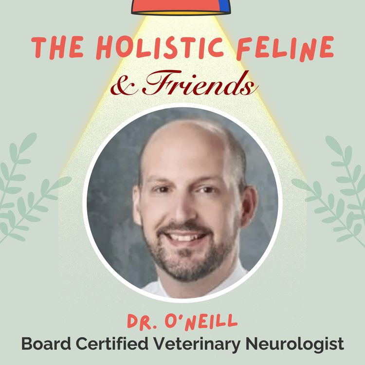 cover art for DR. O'NEILL