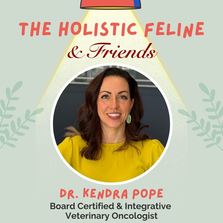 cover art for DR. KENDRA POPE