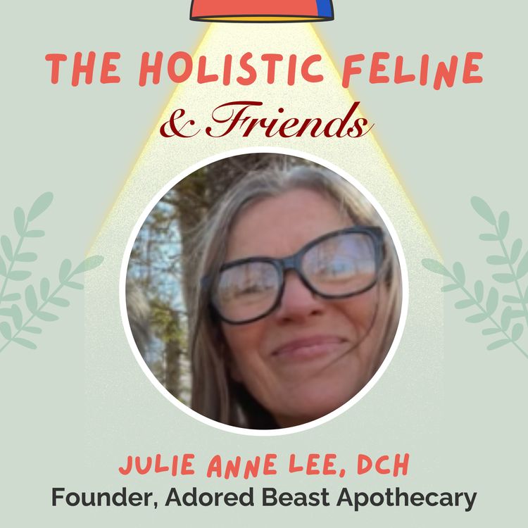 cover art for JULIE ANNE LEE, DCH