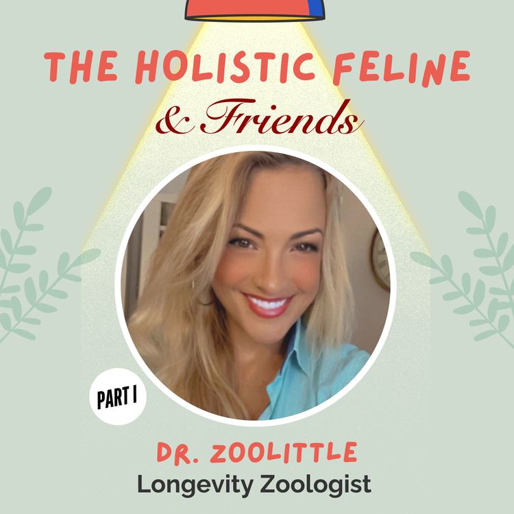 cover art for DR. ZOOLITTLE, Part I