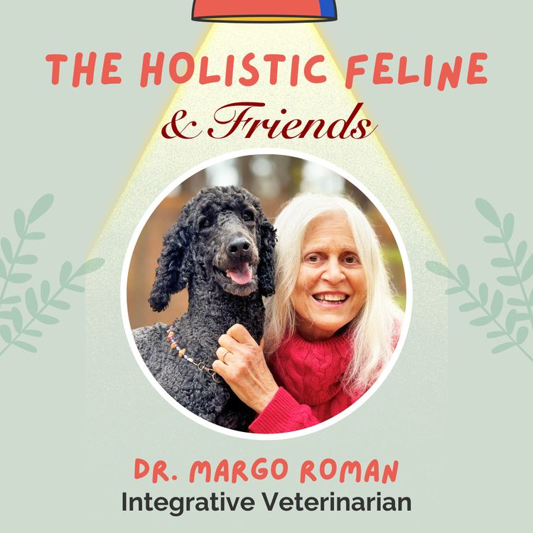 cover art for DR. MARGO ROMAN