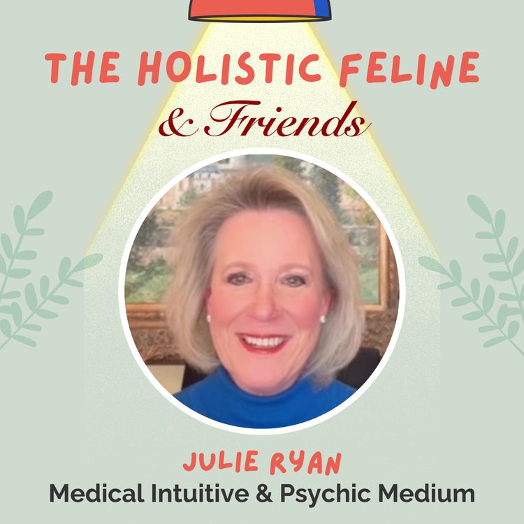 cover art for JULIE RYAN