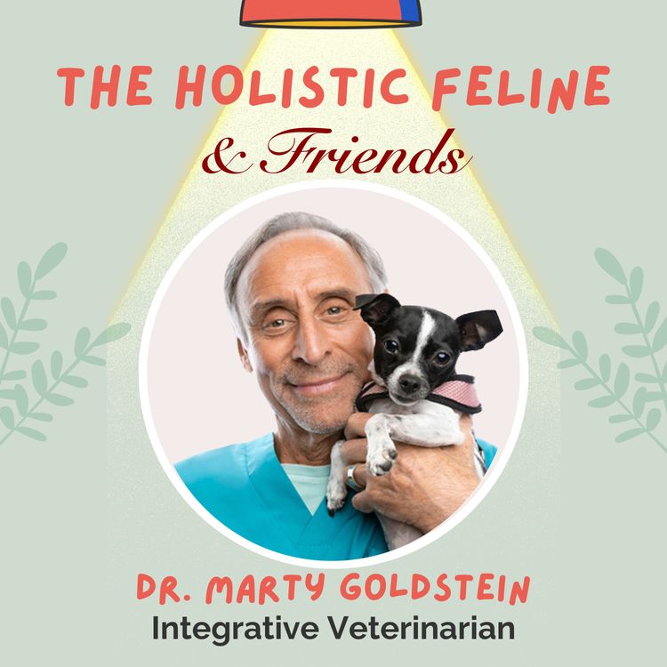 cover art for DR. MARTY GOLDSTEIN