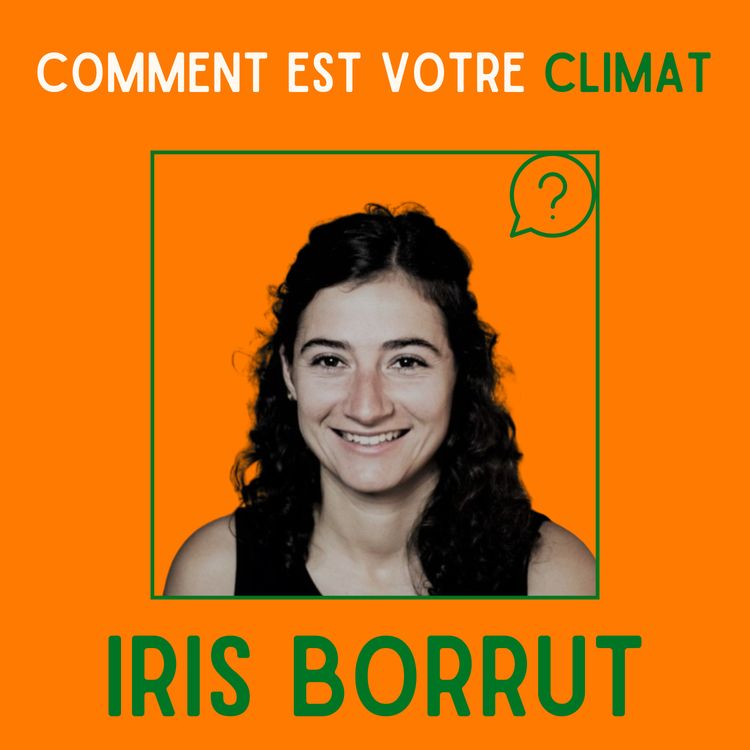 cover art for Le vin face au changement climatique - Iris Borrut, Directrice des Vignerons Engagés