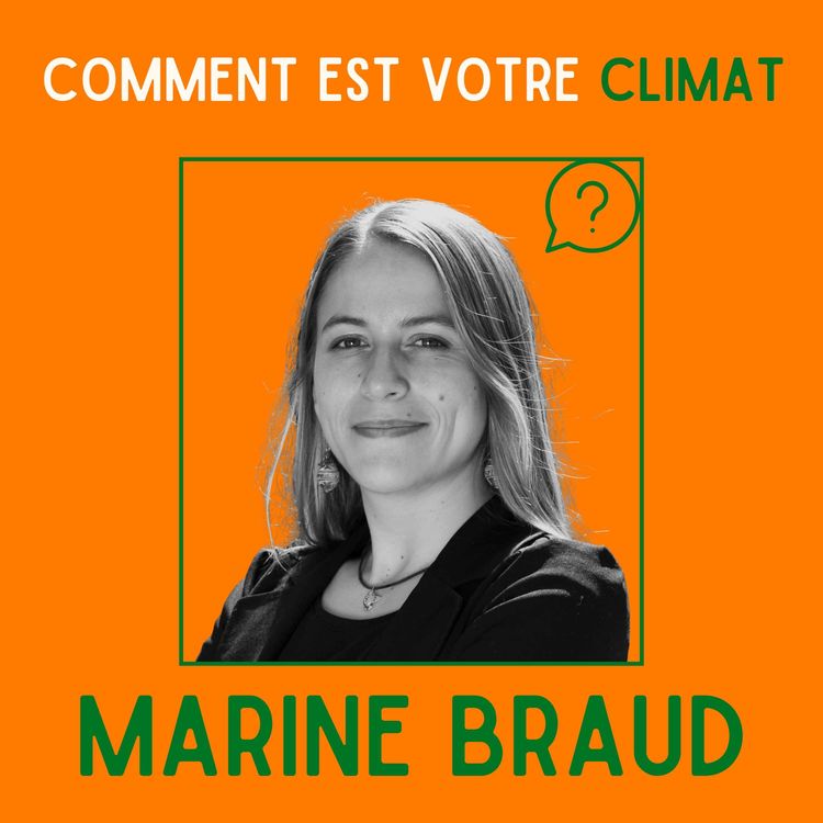 cover art for Les coulisses de l'écologie - Marine Braud, ex-conseillère d'Emmanuel Macron