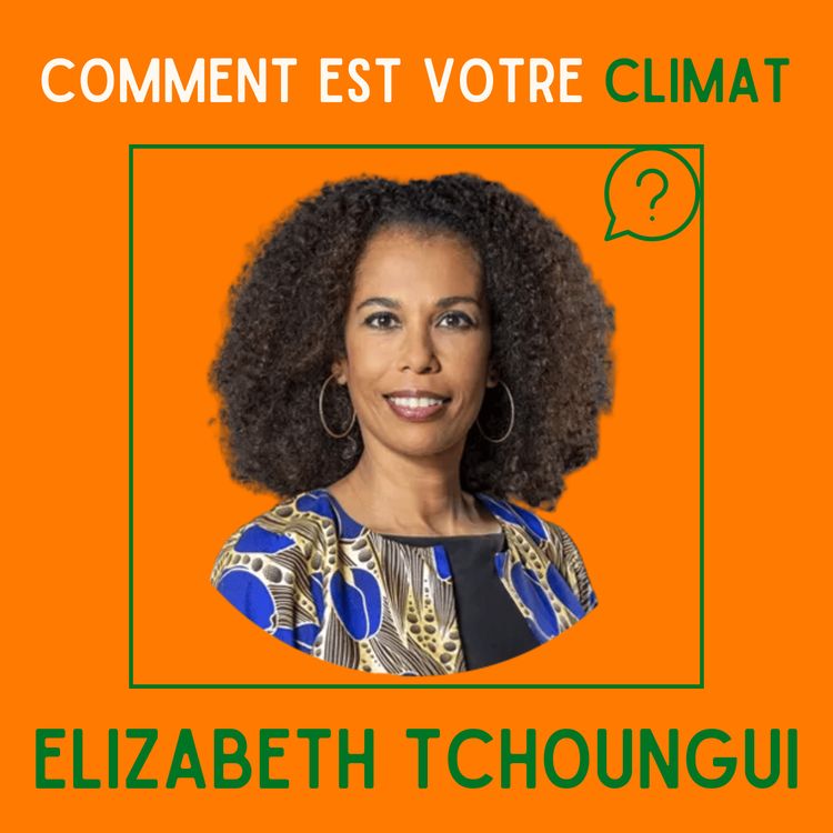 cover art for 5G, inclusion, IA : comment développer un numérique responsable ?