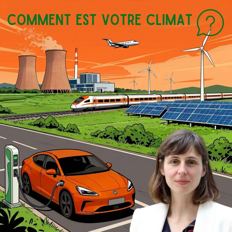 cover art for Se déplacer demain : les solutions et les fausses bonnes idées
