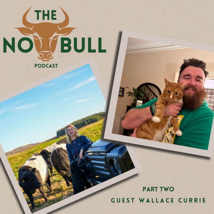 cover art for Episode 5 with Guest Wallace Currie