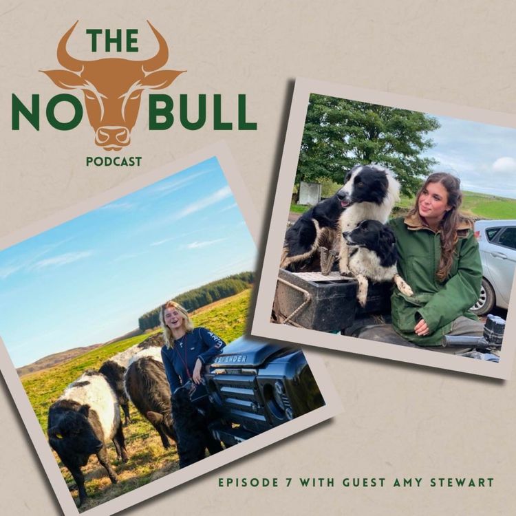cover art for Episode 7 with Guest Amy Stewart