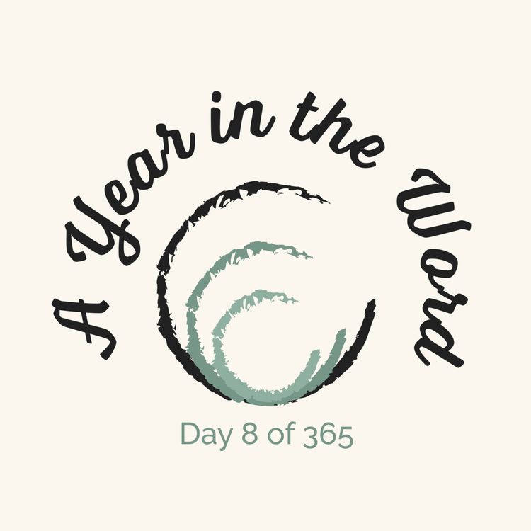 cover art for Day 8 of 365