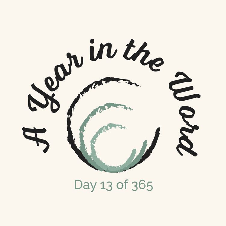 cover art for Day 13 of 365