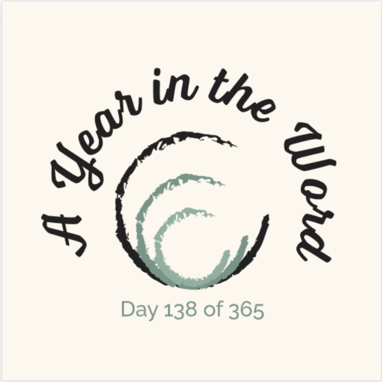 cover art for Day 138 of 365