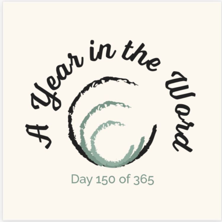 cover art for Day 150 of 365