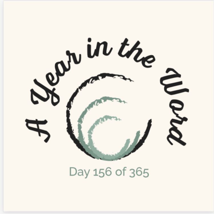 cover art for Day 156 of 365