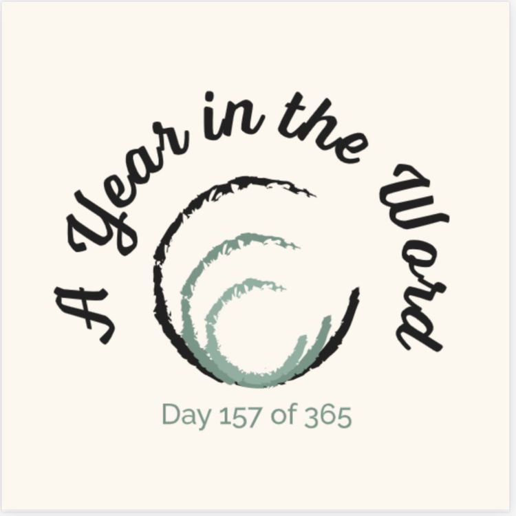 cover art for Day 157 of 365