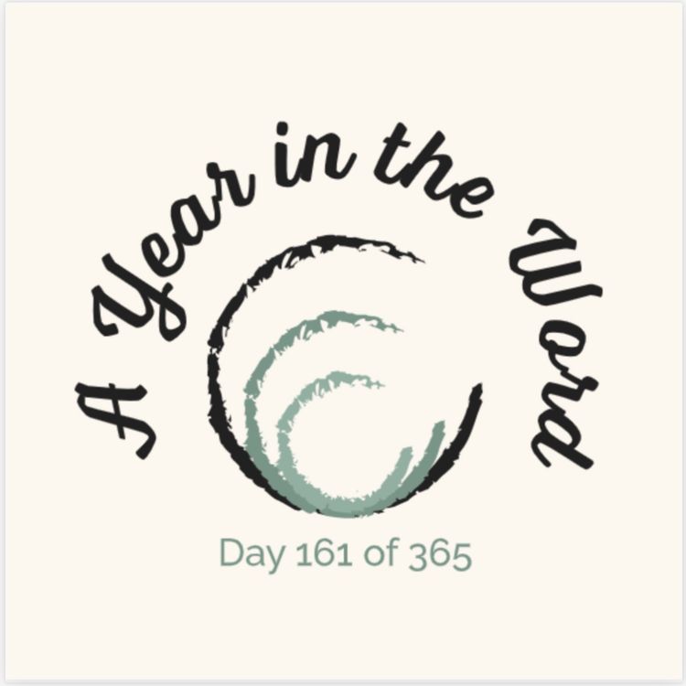 cover art for Day 161 of 365