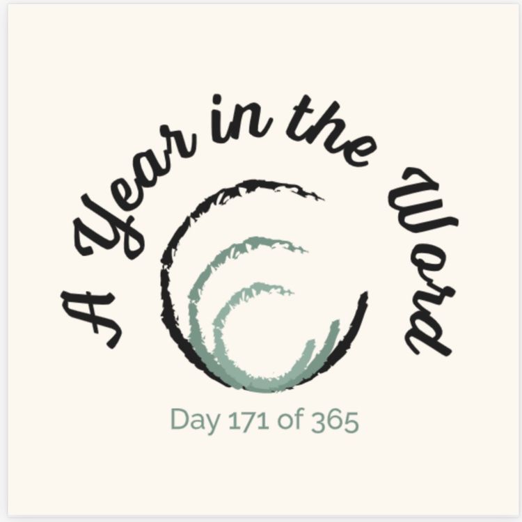 cover art for Day 171 of 365