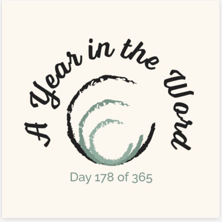 cover art for Day 178 of 365