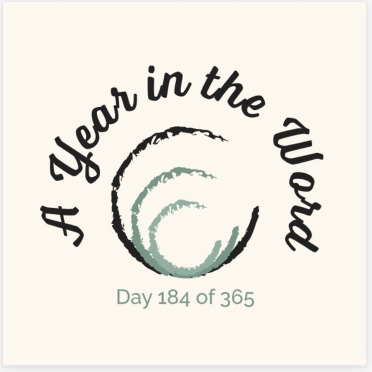 cover art for Day 184 of 365