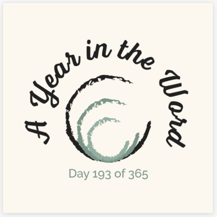 cover art for Day 193 of 365