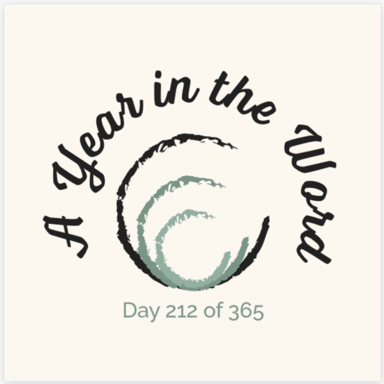 cover art for Day 212 of 365