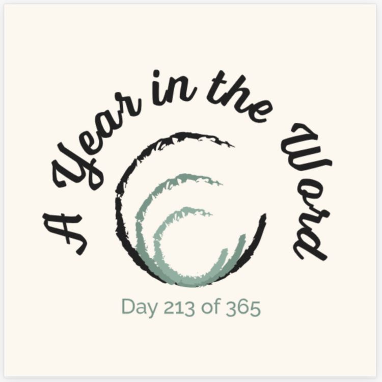 cover art for Day 213 of 365