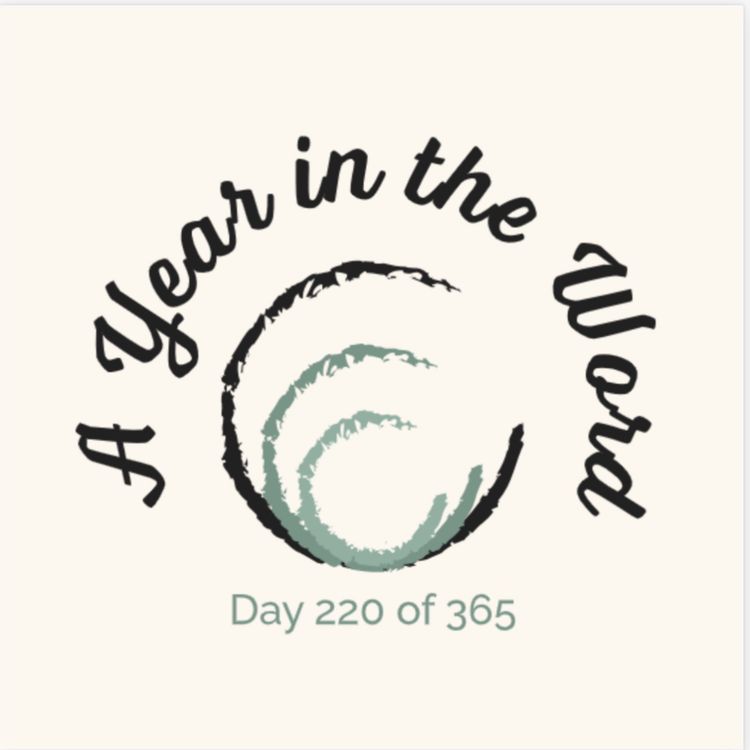 cover art for Day 220 of 365