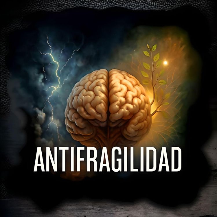cover art for Antifragilidad