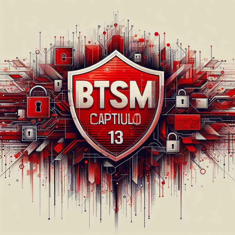 cover art for Capitulo 13 - Marcos de seguridad de la información | Alternativos