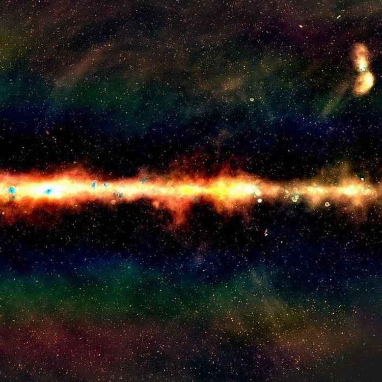 cover art for LIVE: Natasha Hurley-Walker, astronomer