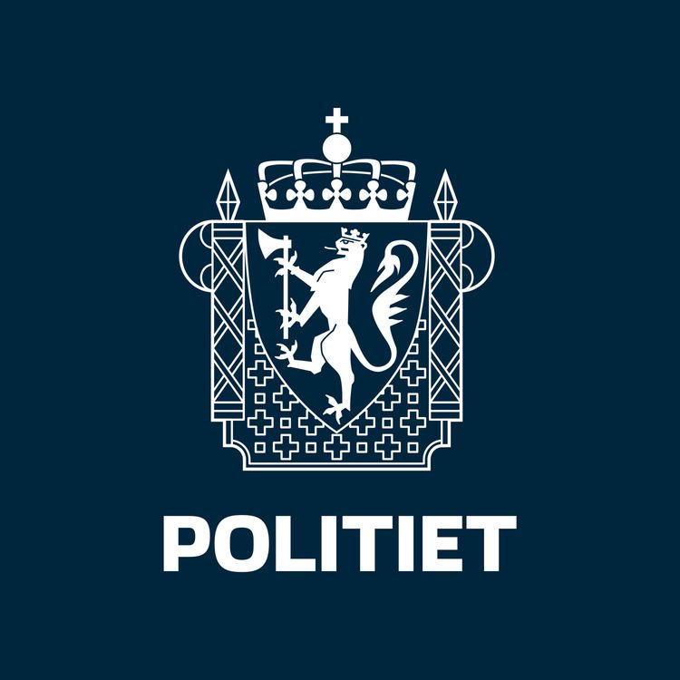 cover art for 1: Hva er Politidirektørens faglige råd?