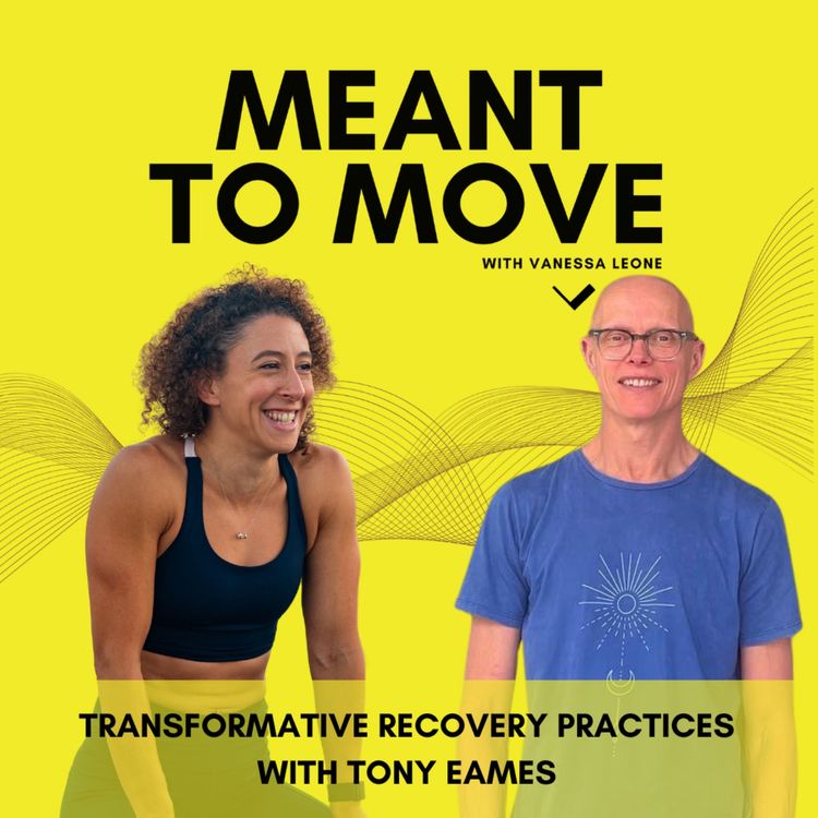 cover art for Transformative Recovery Practices