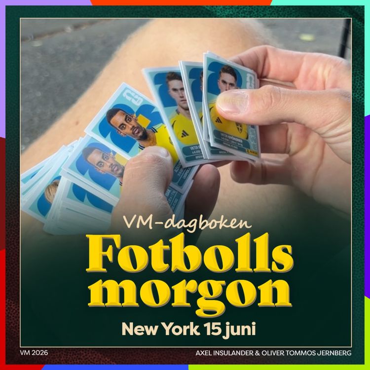 cover art for VM-dagboken: New York 15 juni (Samlarkortshimlen i Queens)