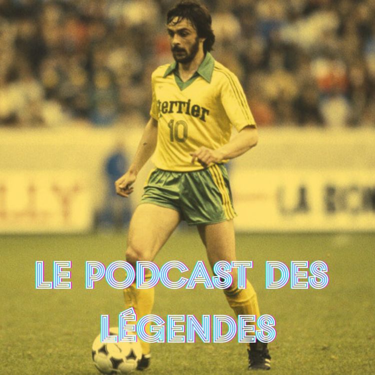 cover art for Le Meneur de Jaunes - Gilles Rampillon