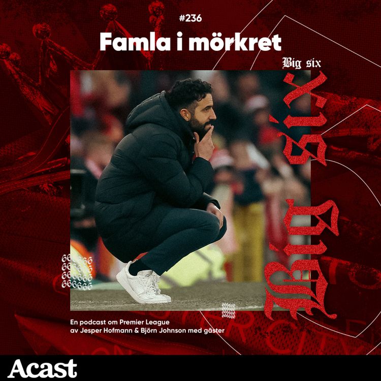 cover art for 236. Famla i mörkret