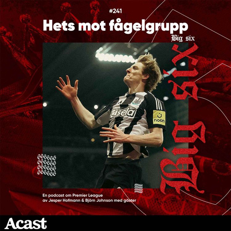cover art for 241. Hets mot fågelgrupp