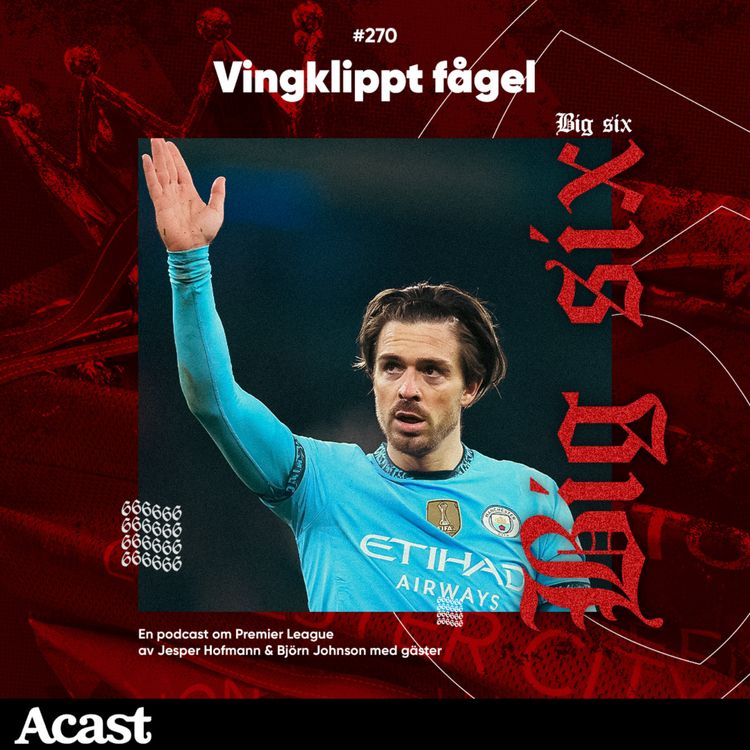 cover art for 270. Vingklippt fågel